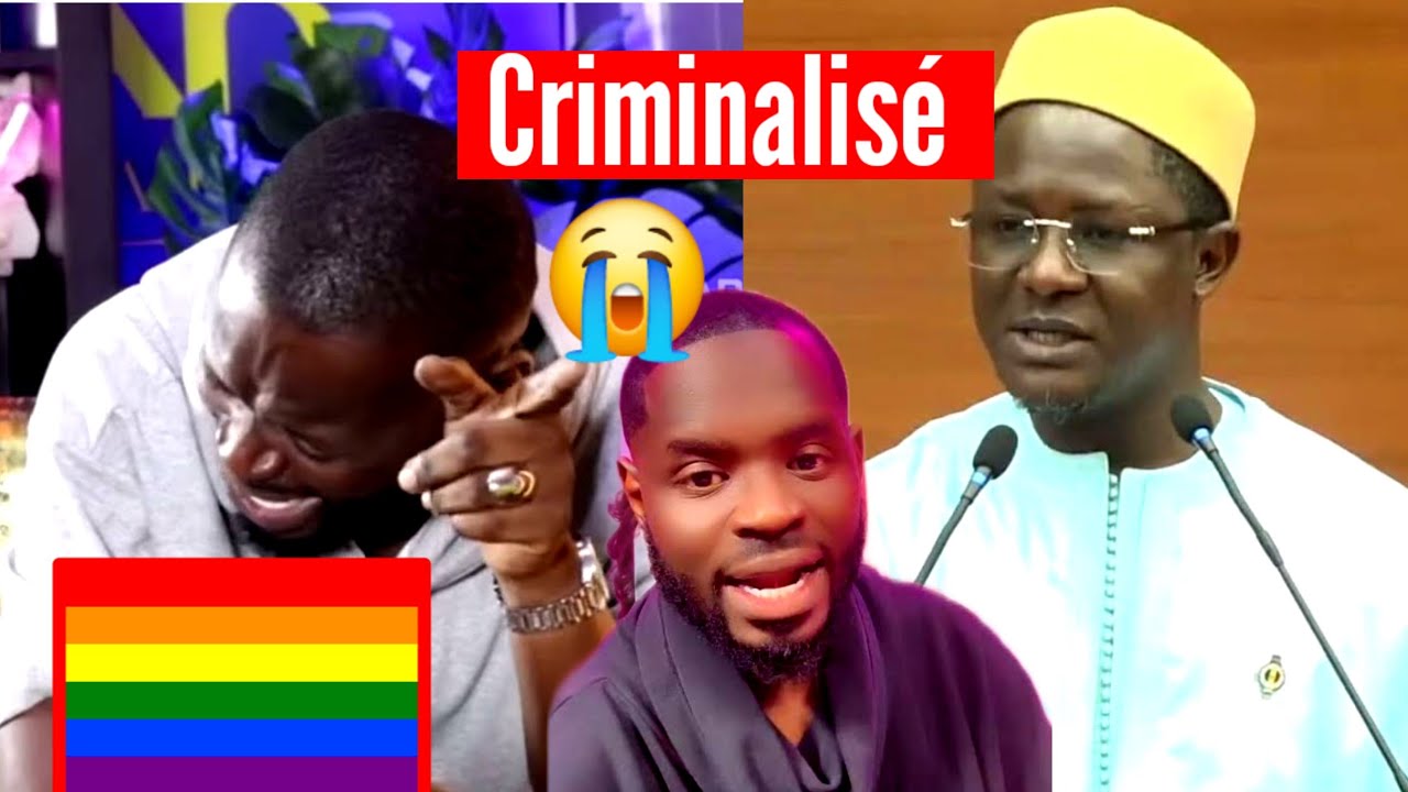 L'affaire Pape Cheikh Diallo : Cheikh Bara Ndiaye 