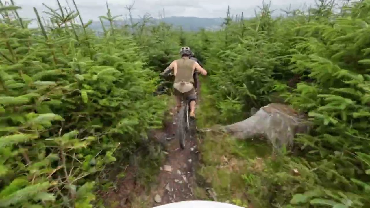 Exploring Cademuir forest Scotland 
