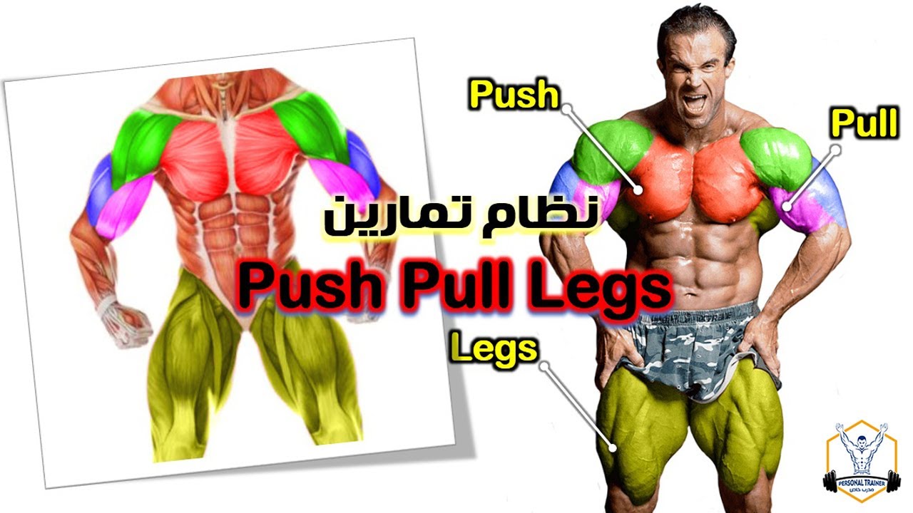 أفضل نظام تمارين ( بوش بول ليج ) | Push Pull legs