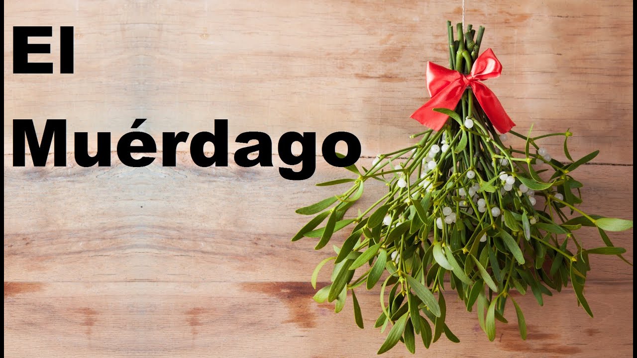 El Muérdago - Tradición, Leyenda, Historia