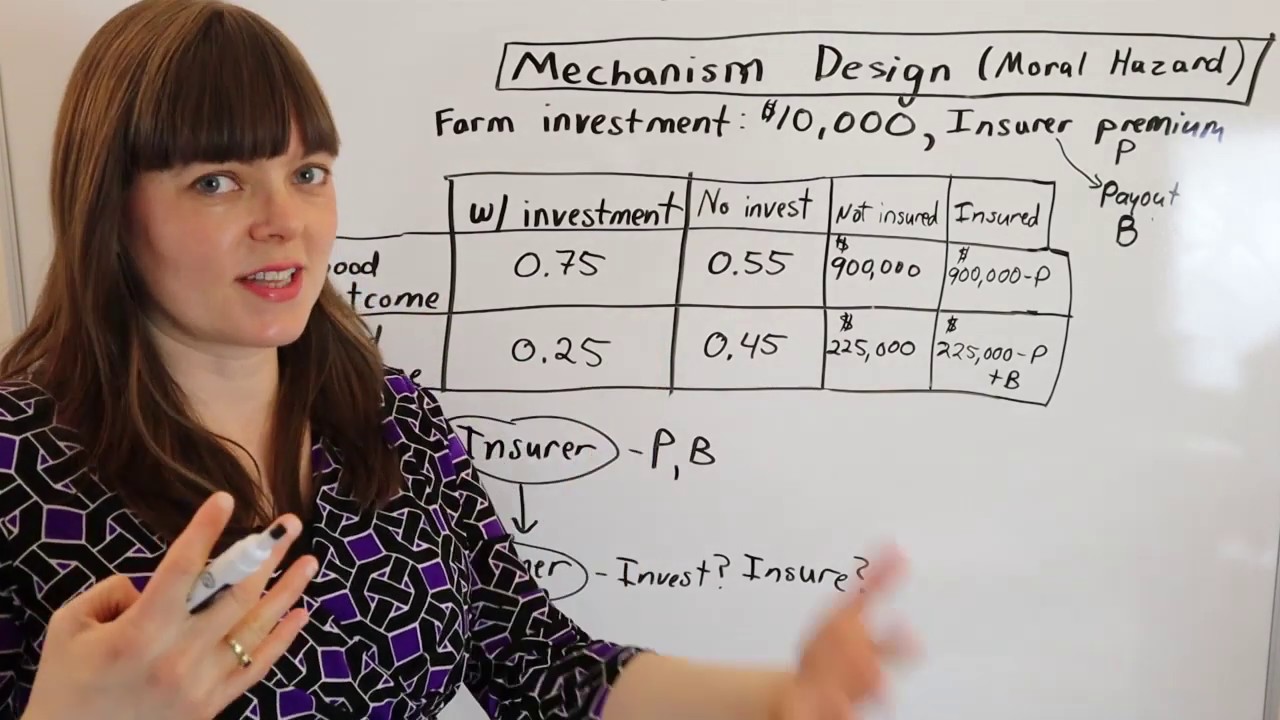Mechanism Design: Farm Insurance, Incentive compatibility & participation constraints