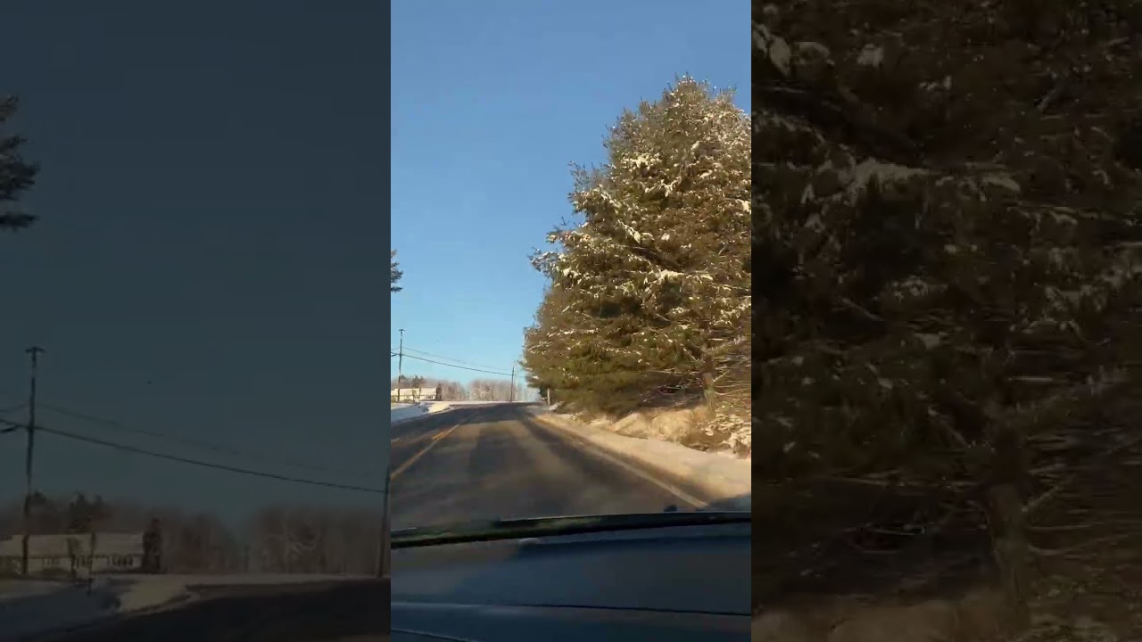 Старая знакомая песня 🎧 про любовь 