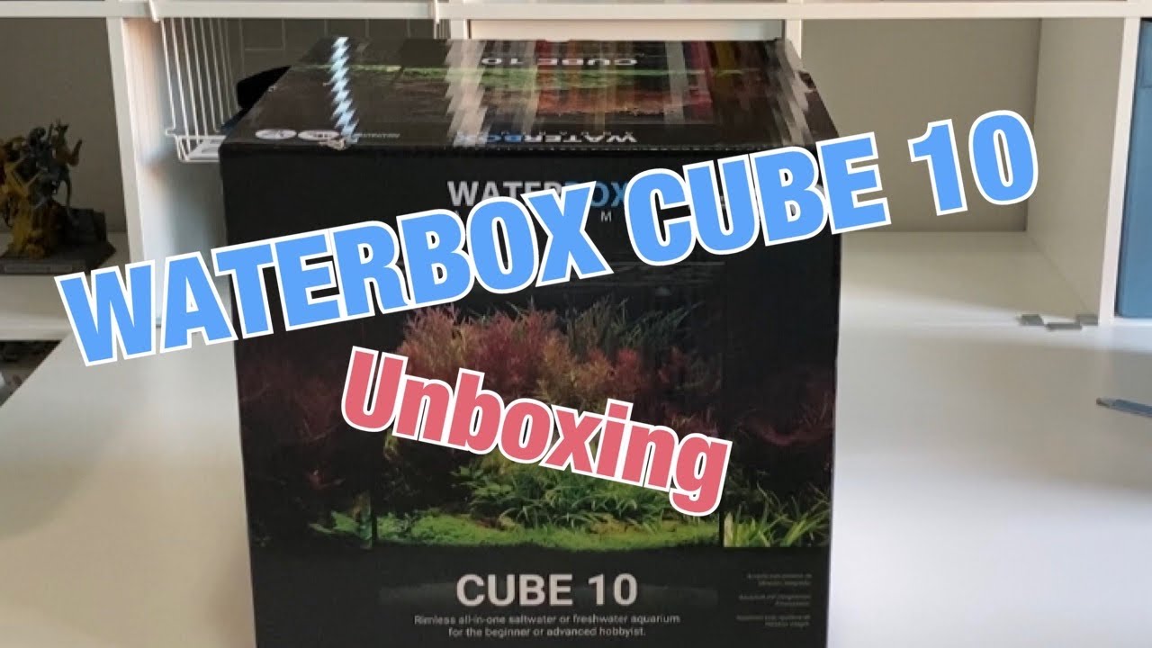 Waterbox Cube 10 Unboxing