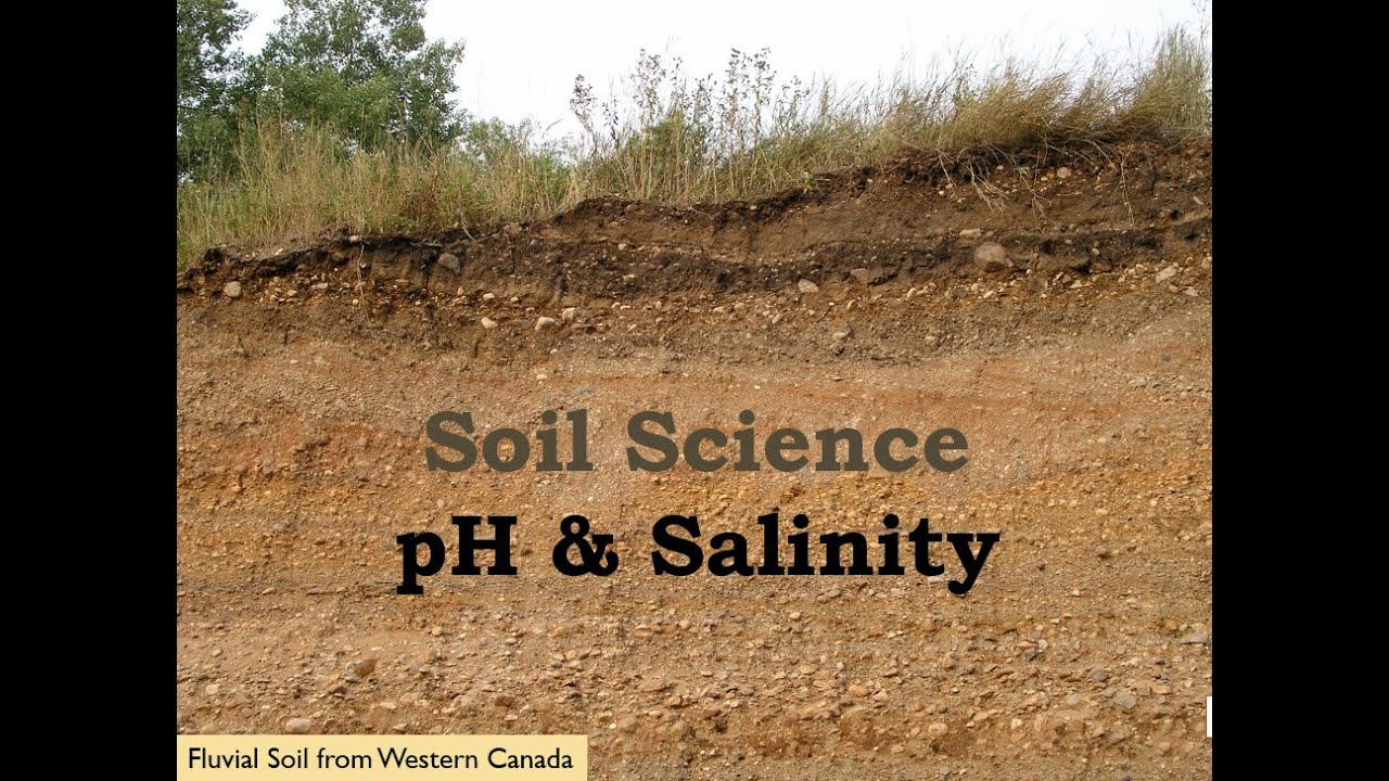 Video on Soil pH and Salinity
