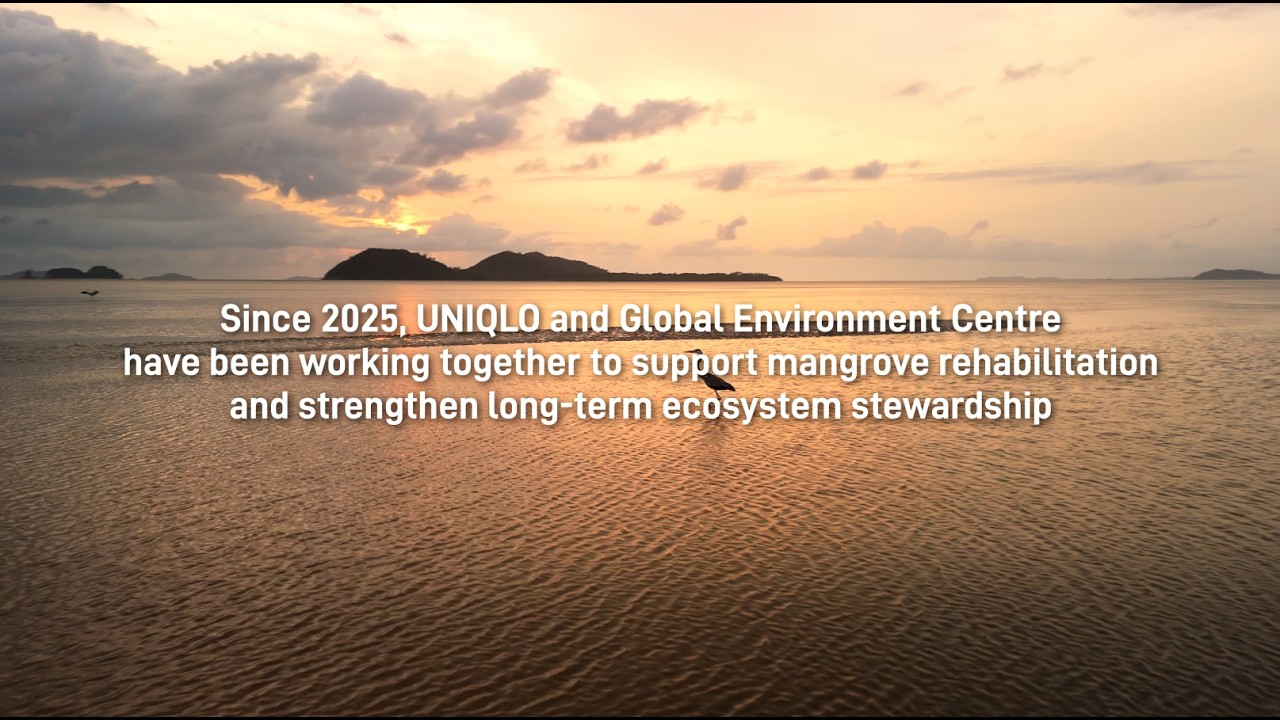 Phase 2 of degraded mangrove rehabilitation in Mersing, Johor
