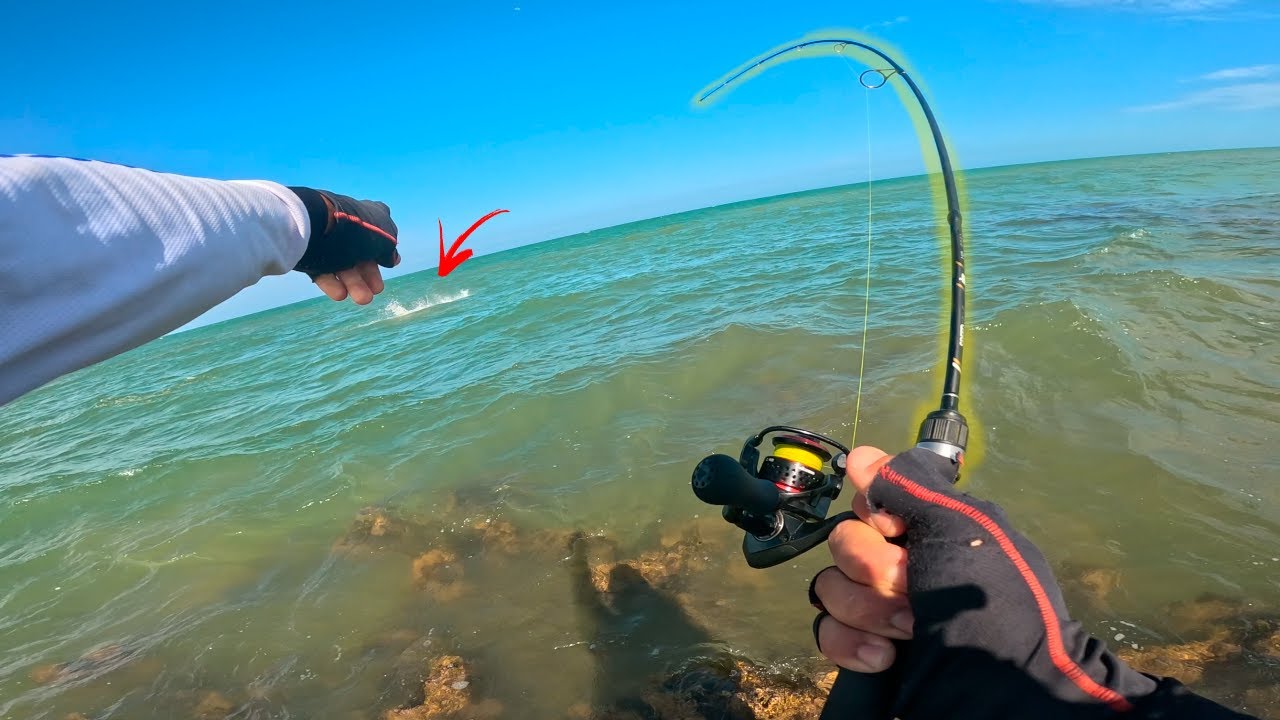 tarpon nas 6lbs 🔥🔥 pesca ultralight na praia