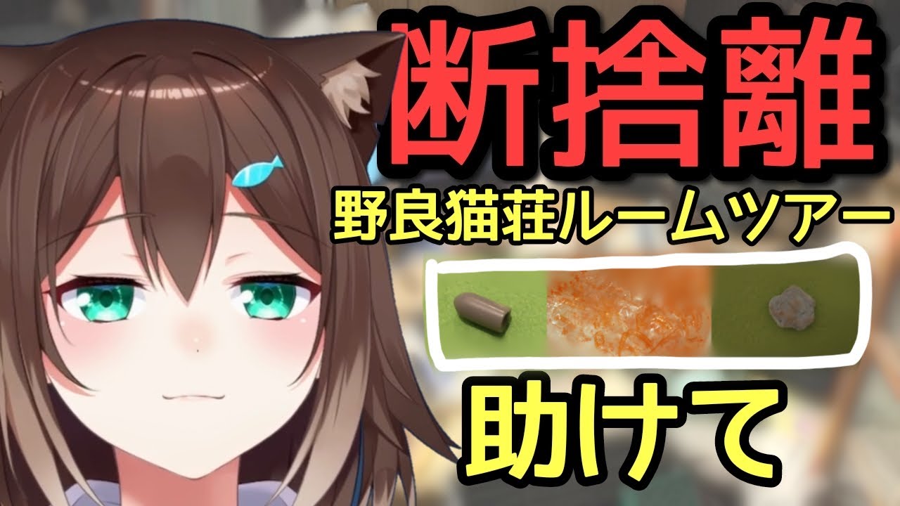 【断捨離】文野環ルームツアーの巻２【にじさんじ】