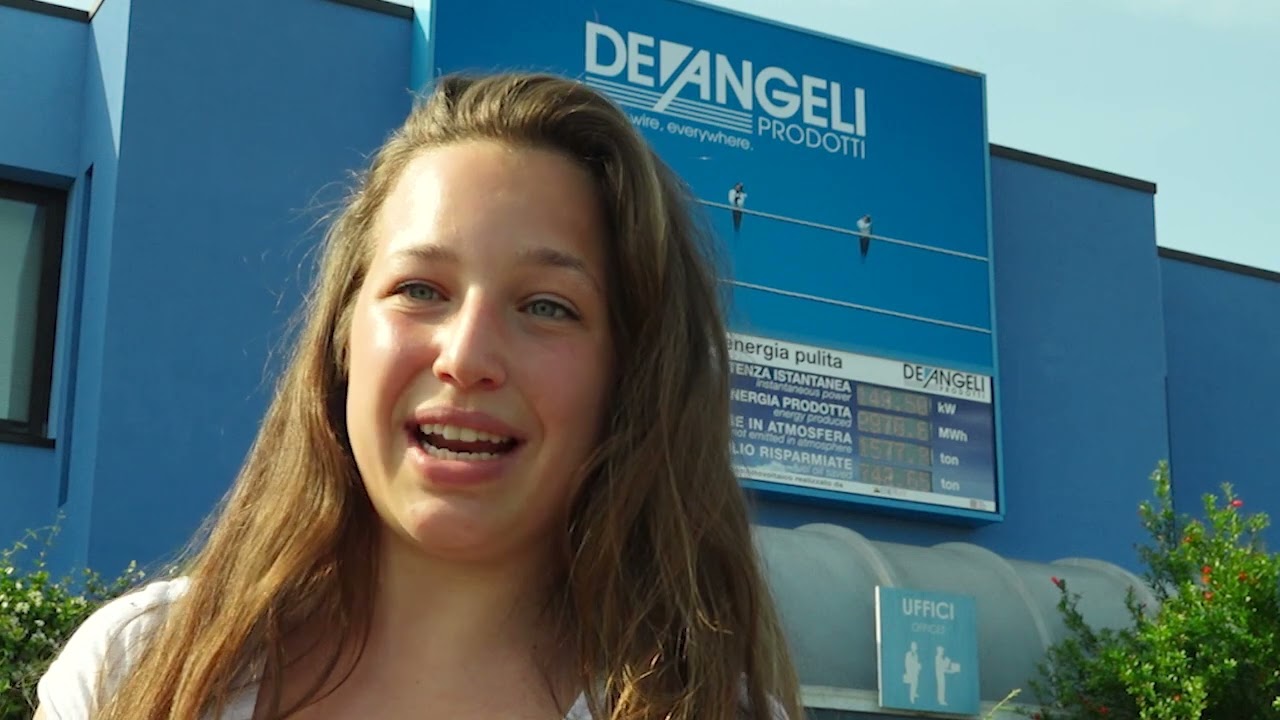 Le buone pratiche di innovazione: DE ANGELI PRODOTTI SRL