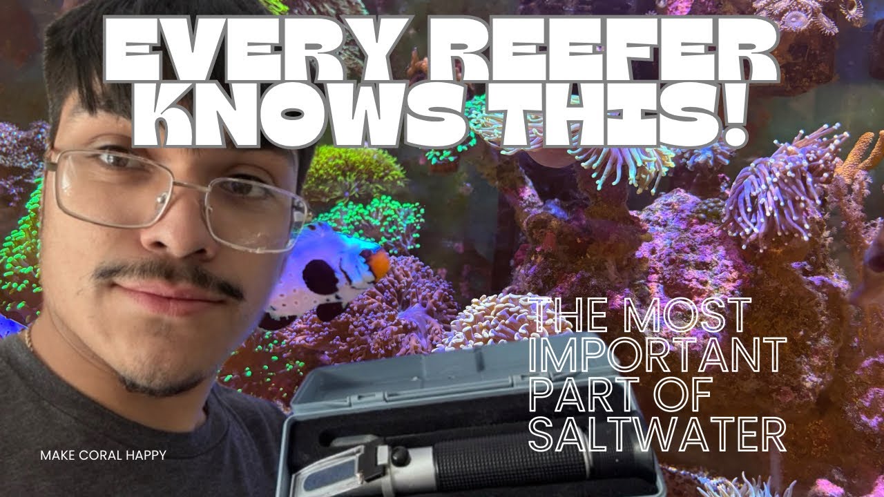 How to PROPERLY test salinity in your saltwater aquarium!