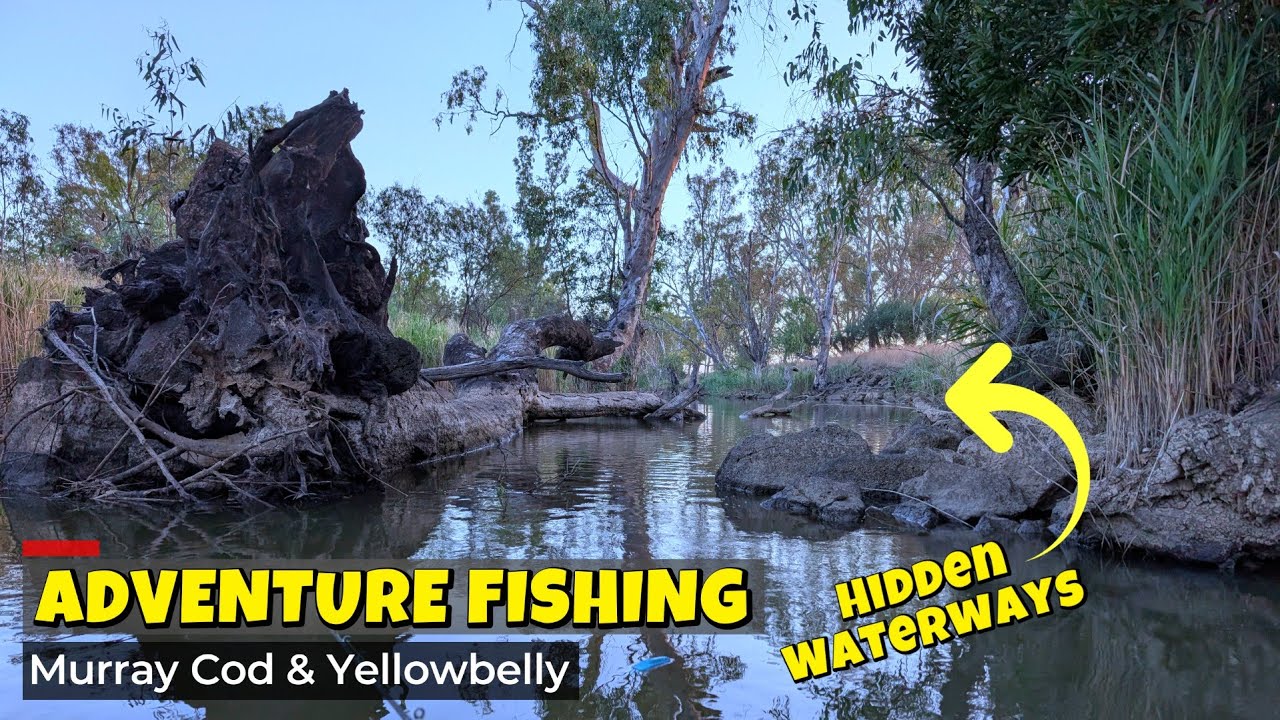 Fishing Hidden Waterways – Murray Cod & Yellowbelly Strike!