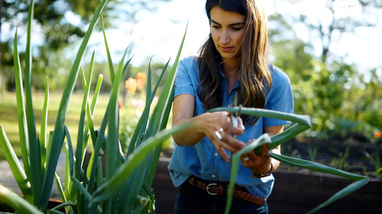 Nina's Garden: Feeding Your Garden