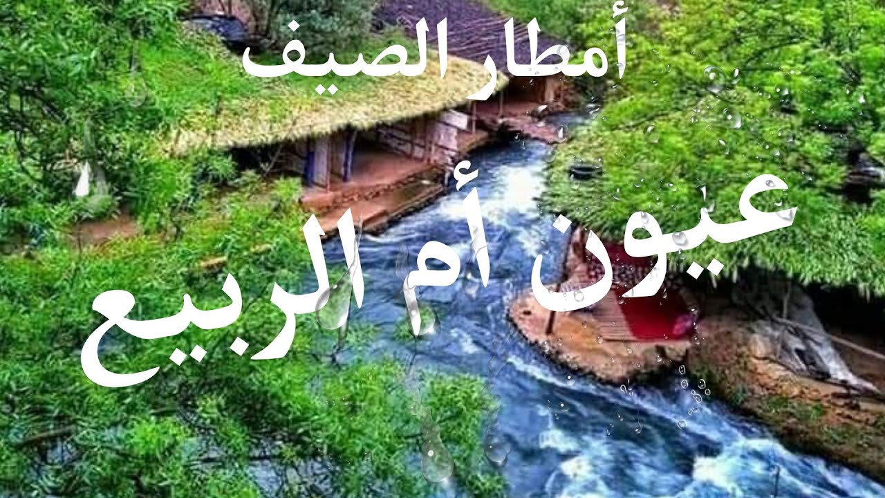 🌡️عيون ام الربيع ☁️أمطار الصيف تلطف الجو🌅