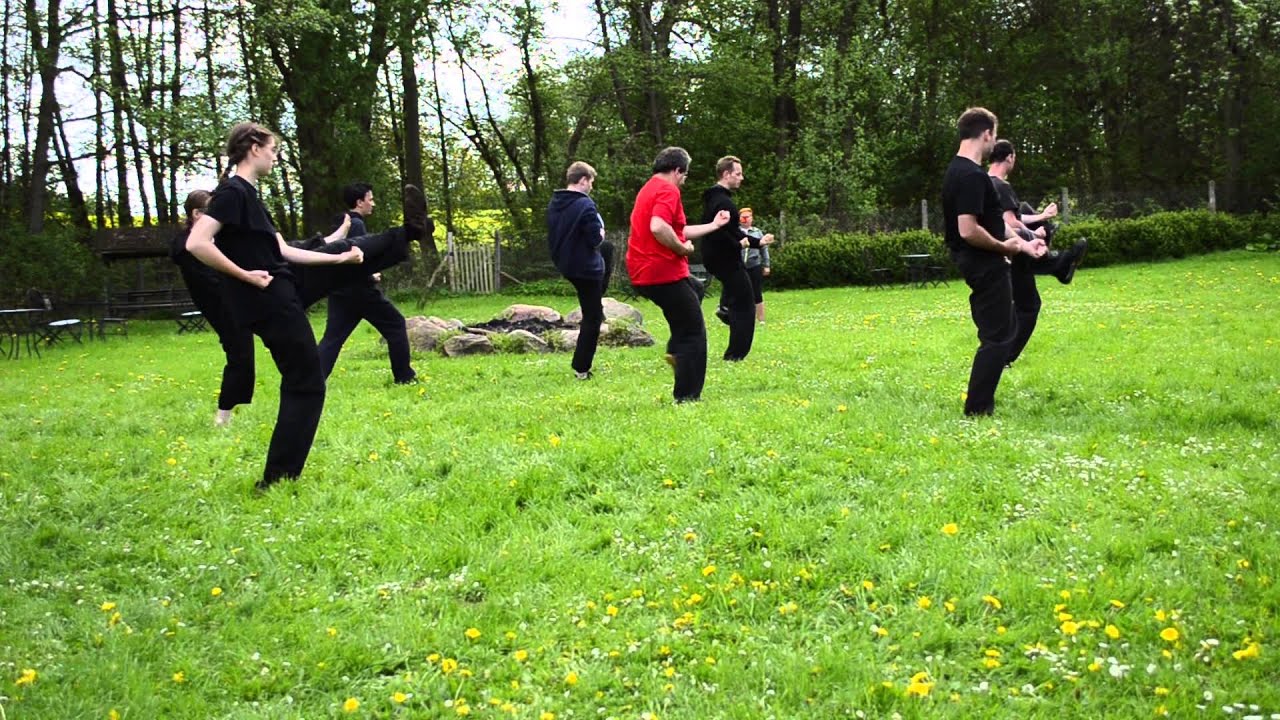 Grundstellungen I Kung Fu TanTui 1  Großmeister Lee und seinen Schülern.
