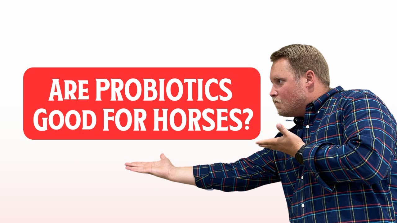 Are Probiotics Good for Horses