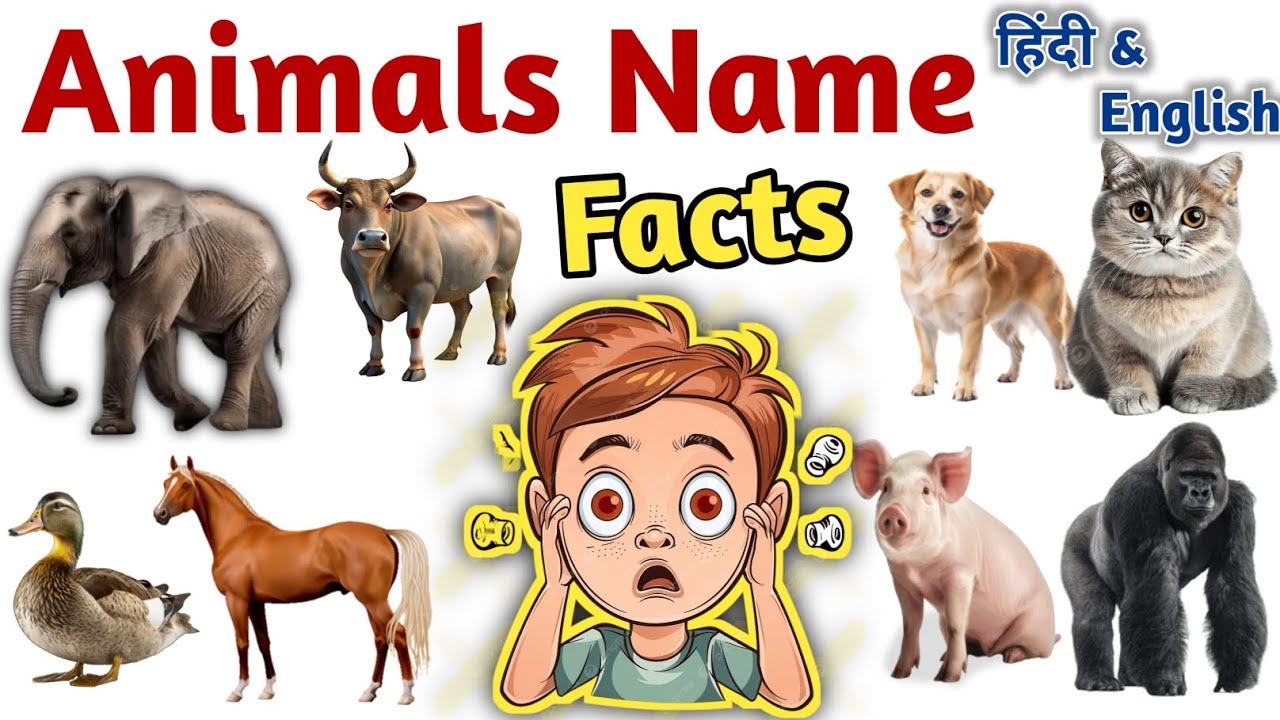 Animals Name l Learn Animals Name in English l Wild Animals l Pet Animals l Kids Video l