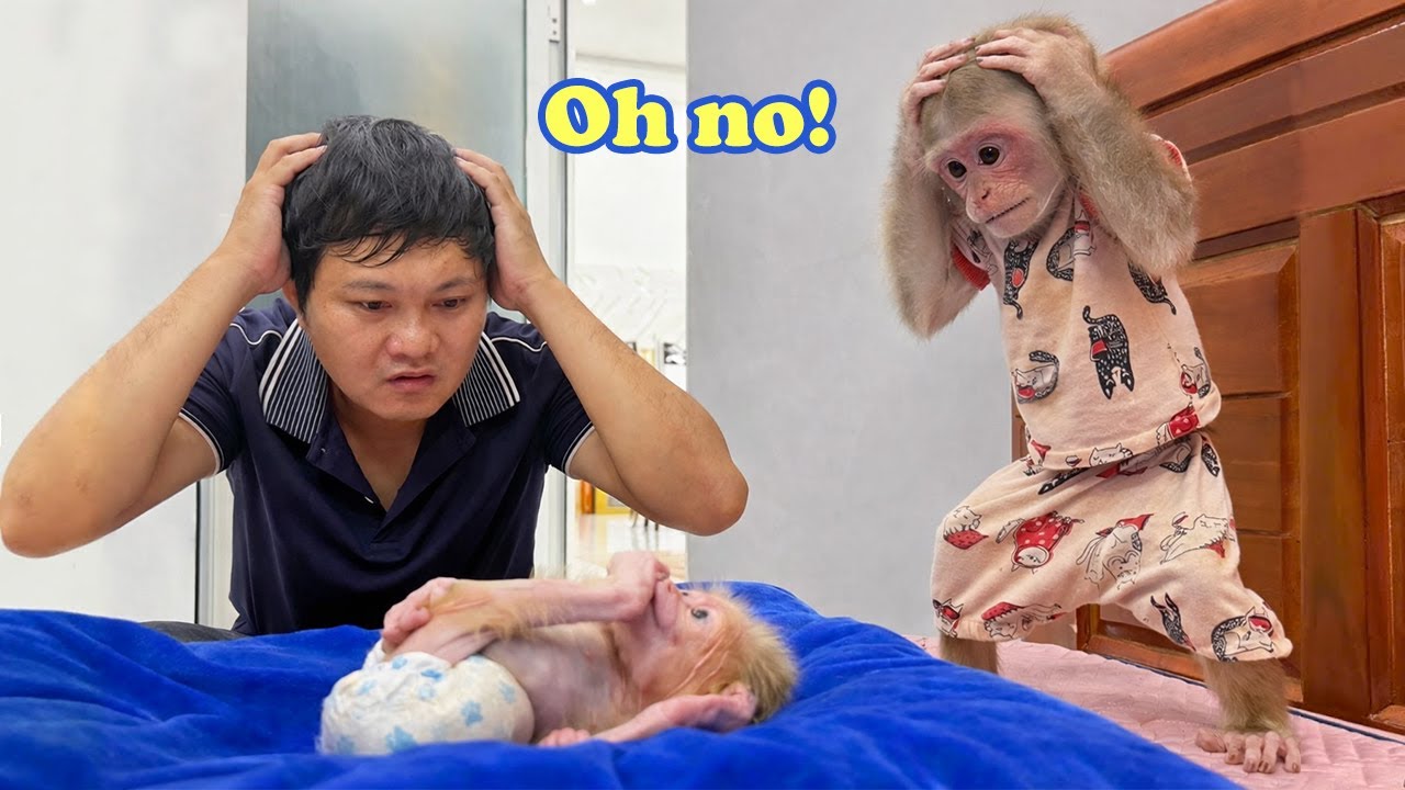 How Touching! Cute Monkey Kyo Was Worried When Dad Took the Little One to the Vet