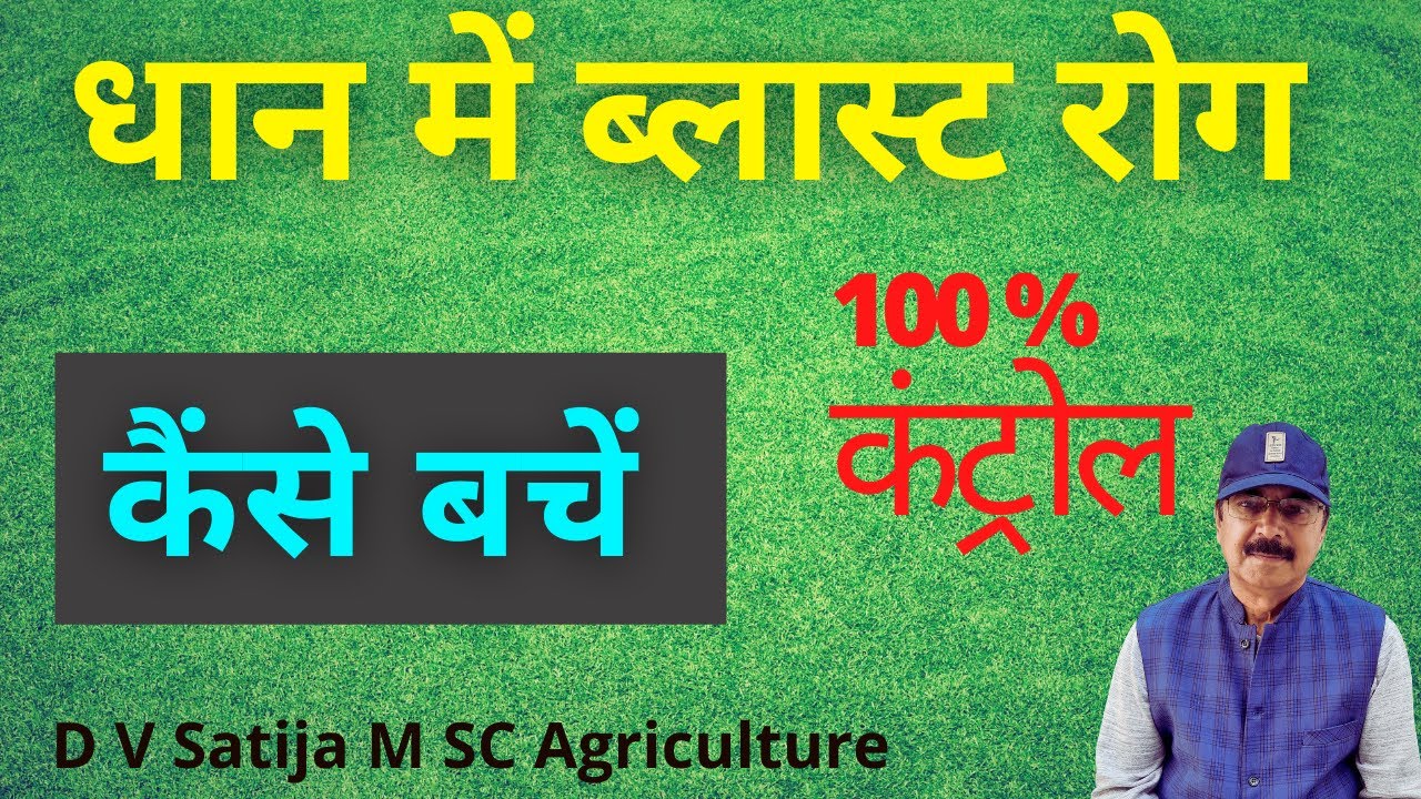dhan me blast rog ki dawa | blast ka jaivik aur rasayanik ilaj | जैविक और रासायनिक उपाय |