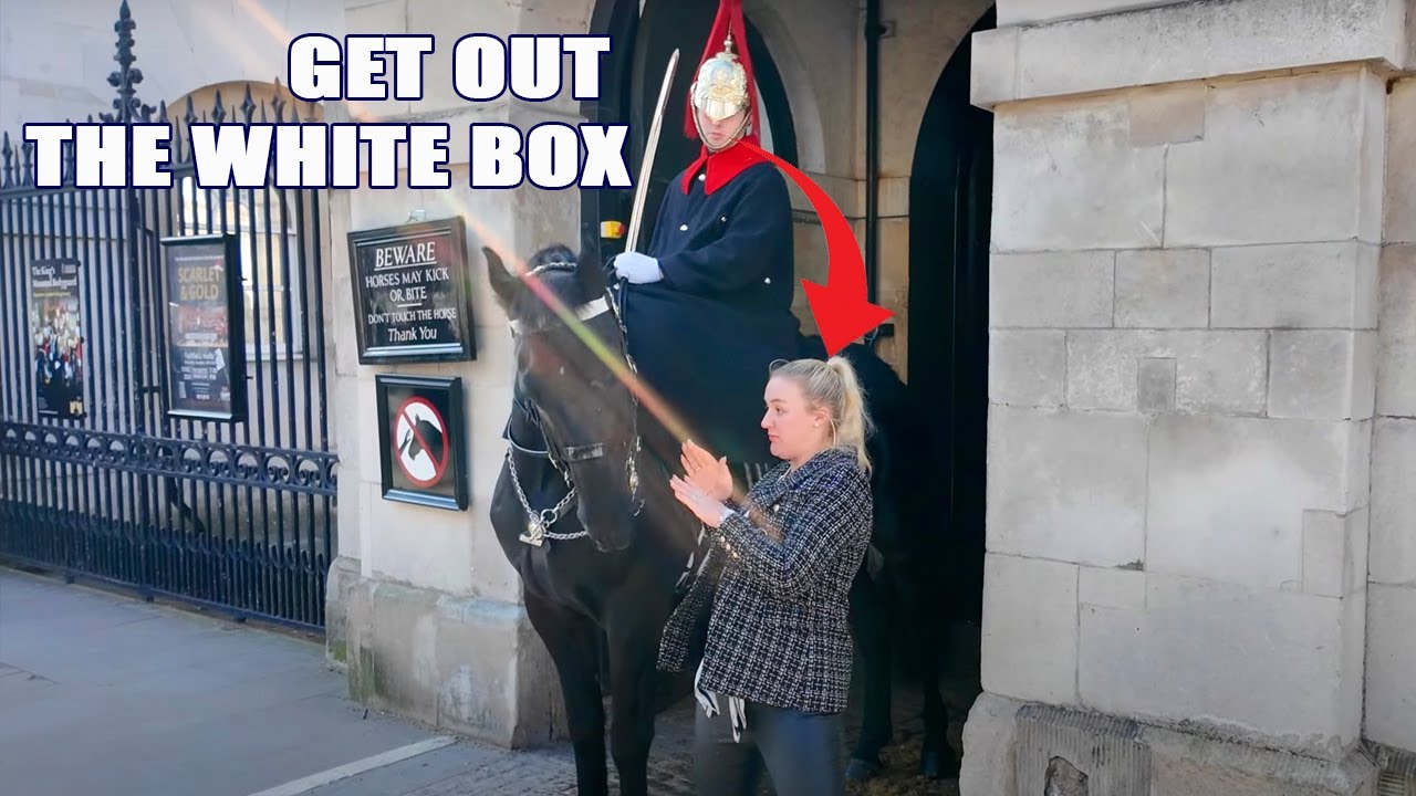 😡‼️Guard’s Furious Reaction to Tourist Get too Close to  the Horse..!