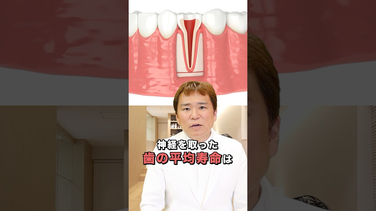 根管治療後の歯が脆くなる本当の理由