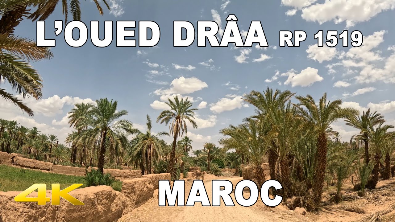 🇲🇦  L’Oued DRÂA et ses villages magnifiques | Route 1519 | MAROC | 4K