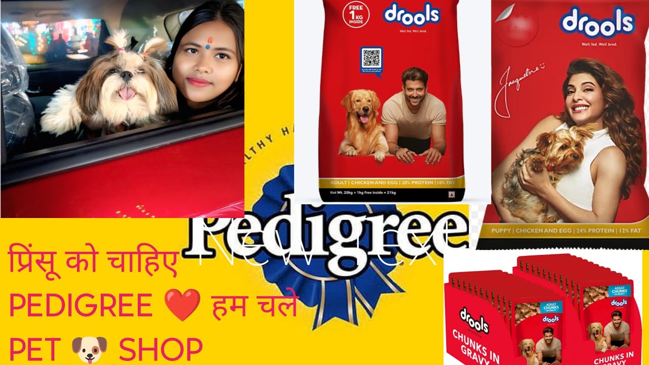 प्रिंसू को चाहिए PEDIGREE ❤️ हम चले PET 🐕🐶 SHOP( 15-2-26)