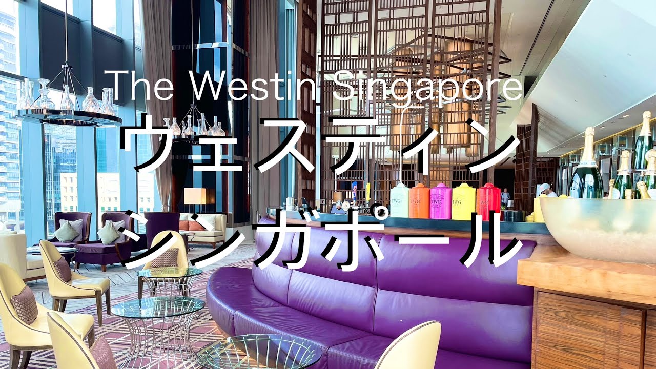 【正直レビュー】豪華朝食と絶景プール！ウェスティン　シンガポール宿泊記　マリオット　プラチナ　The Westin Singapore