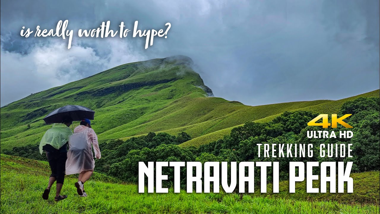 Netravati Monsoon Trek | Chickmagalur | July 2023 | Complete Guide