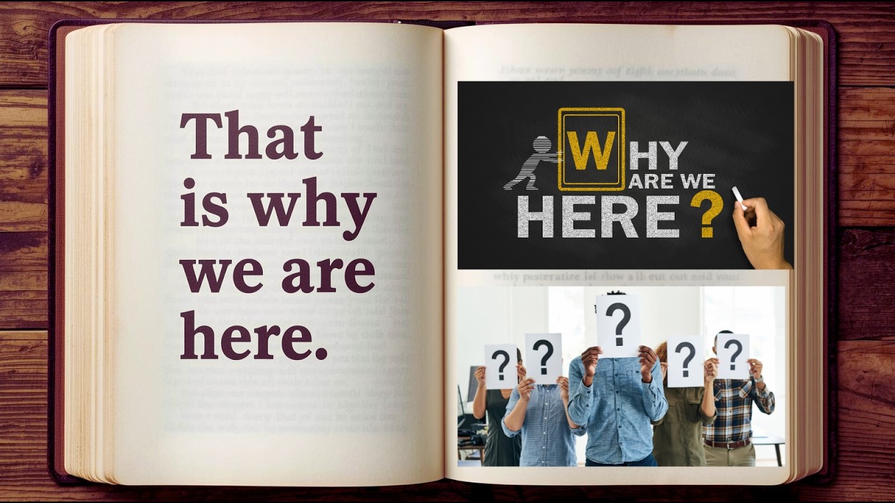 Who Controls the Steering of a Company? Corporate Governance Explained Simply