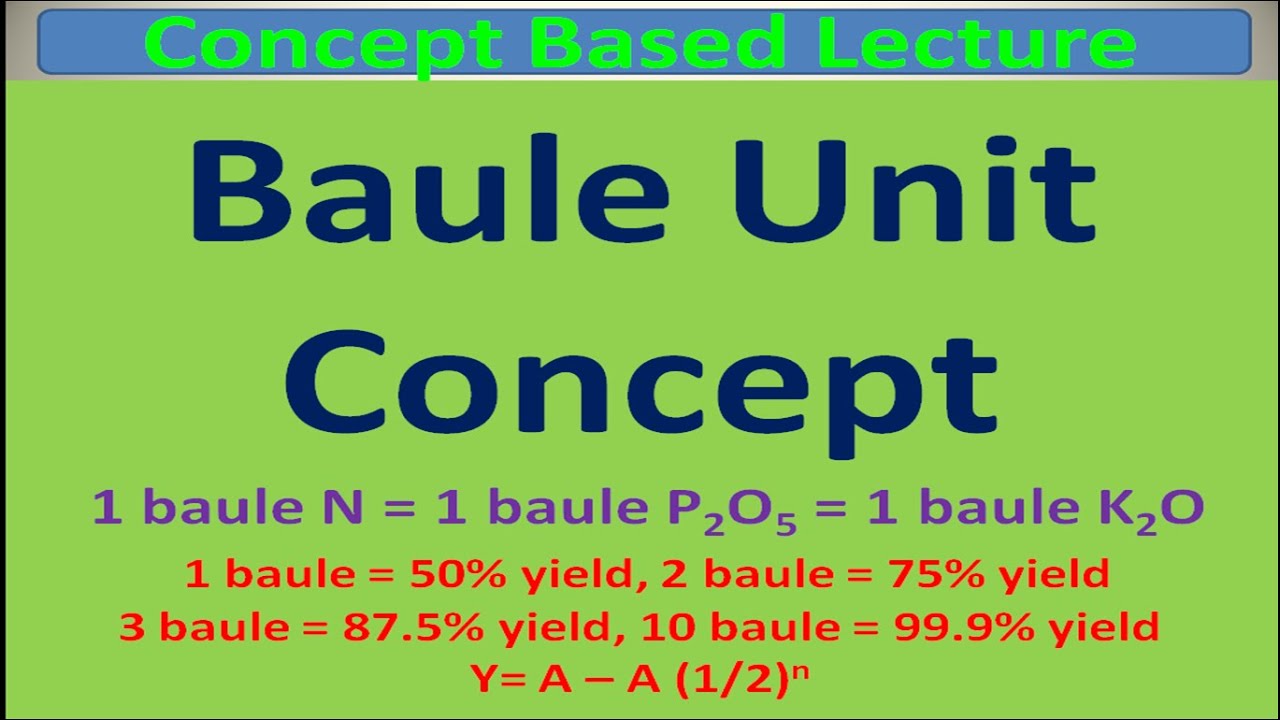 Baule Unit Concept