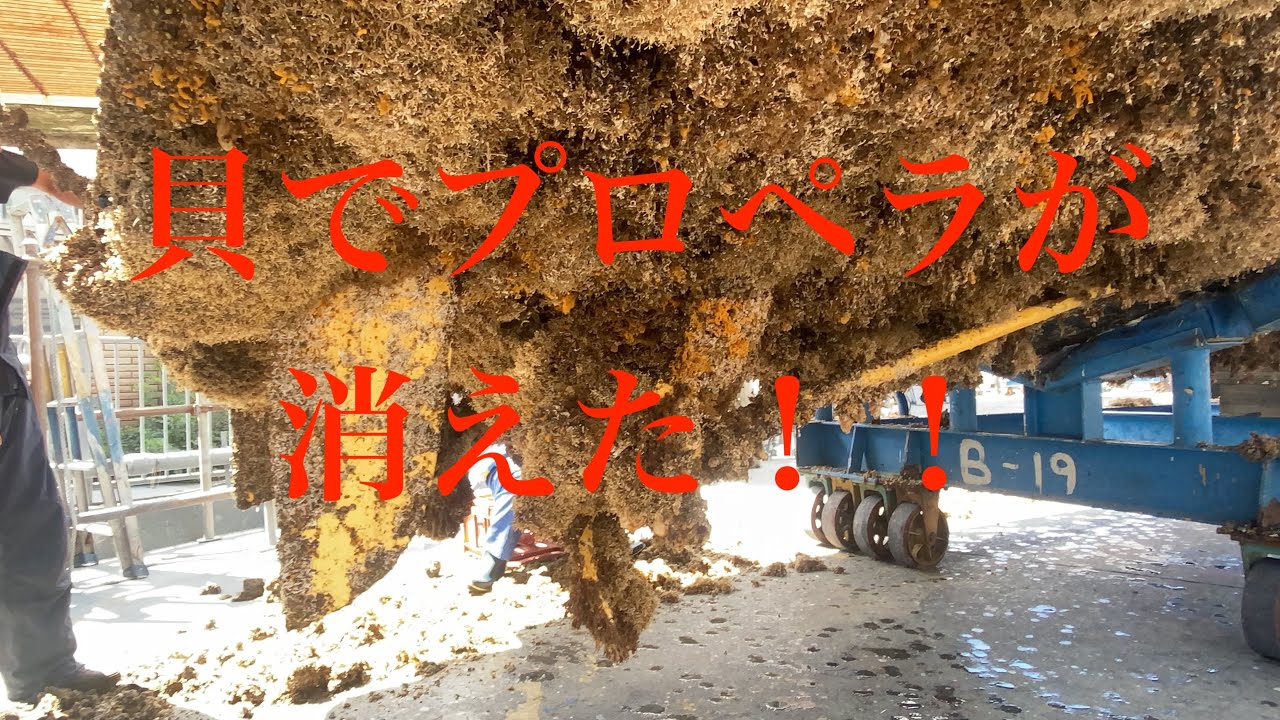 消えたプロペラ！船底作業！貝でヤバイことに！