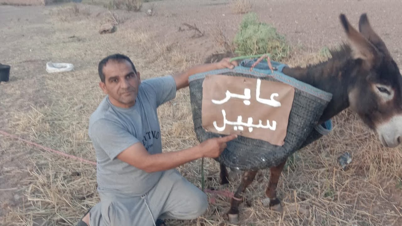 اسئله دينيه