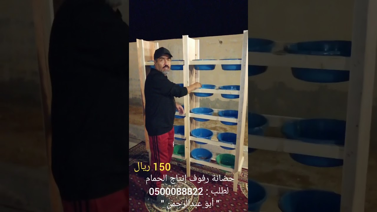 حضانة الحمام بأنواعه