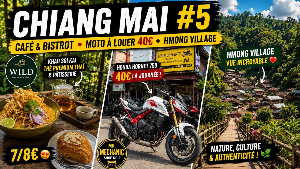 🇹🇭 Chiang mai #5 : Wild Coffee 4€, Hornet 750 à 47€ & Hmong Village