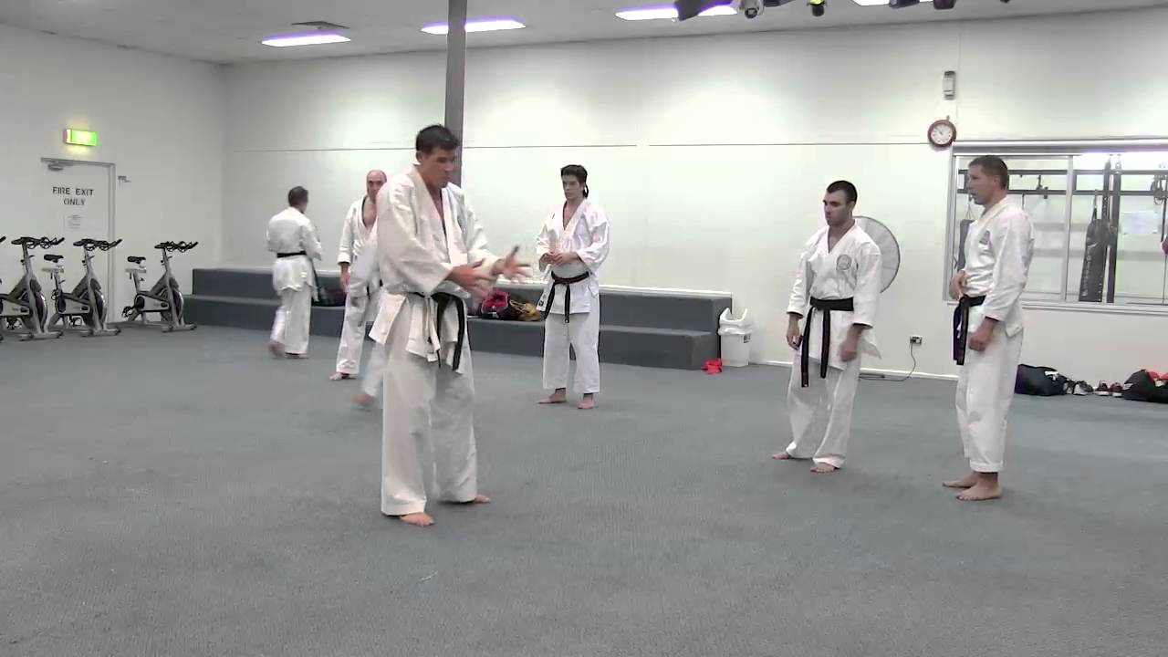 Part 3: Shiko dachi (sumo stance) Applications