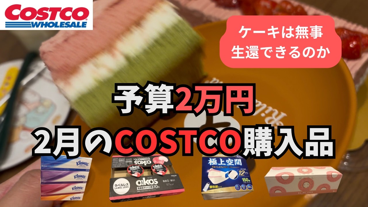 2月のコストコ購入品紹介完結編 投稿主誕生月 色鮮やかなケーキも購入してみた #コストコ #予算2万円以内チャレンジ