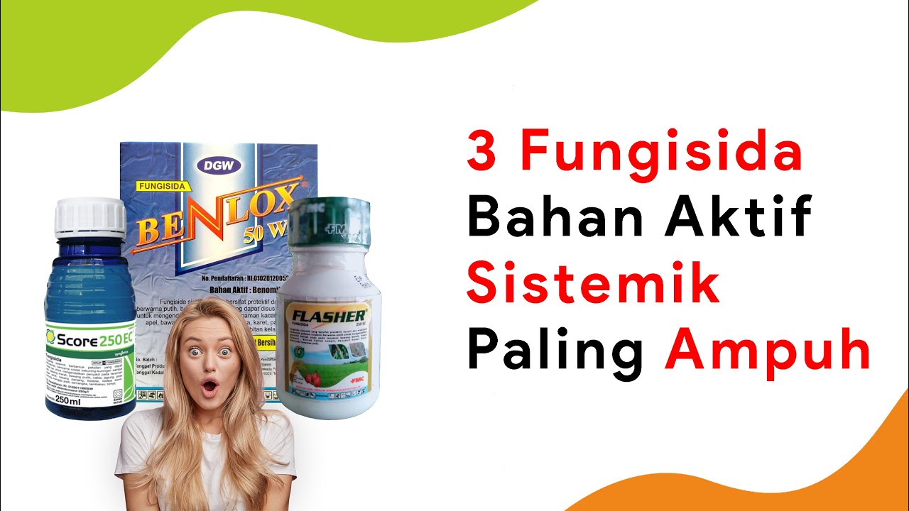 Kocor Fungisida 3 Bahan Aktif Sistemik Ini, Sistemik Lainnya Nggak Mampu