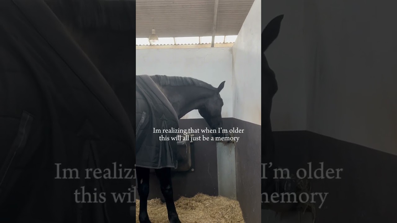 I don&rsquo;t want this to be a memory. #horse #minihorse #tinyhorse #equestrain