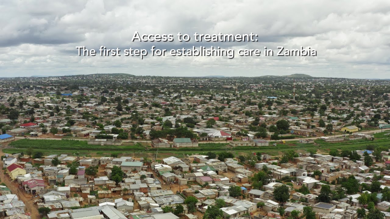 From crisis to control: the effect of WFH support in Zambia
