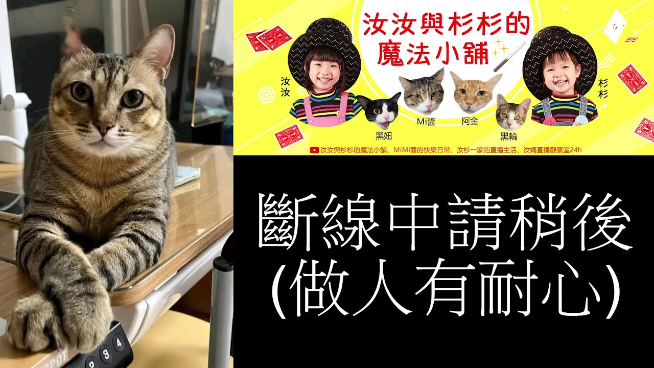 想跳舞就會開播  20260221 (擼貓、救貓、餵貓、碎碎念喵～汝爸直播應有盡有唷)