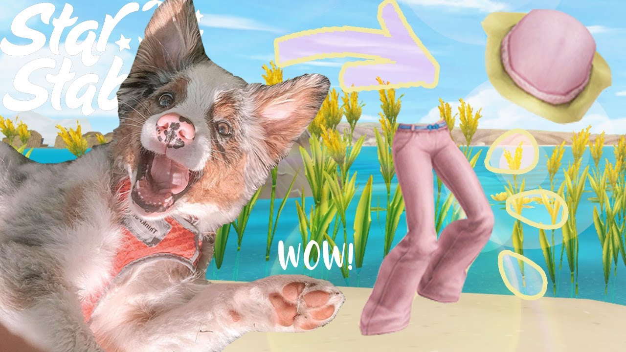 DOG chooses my SHOPPING SPREE | SSO Shopping Sprees | Star Stable Online