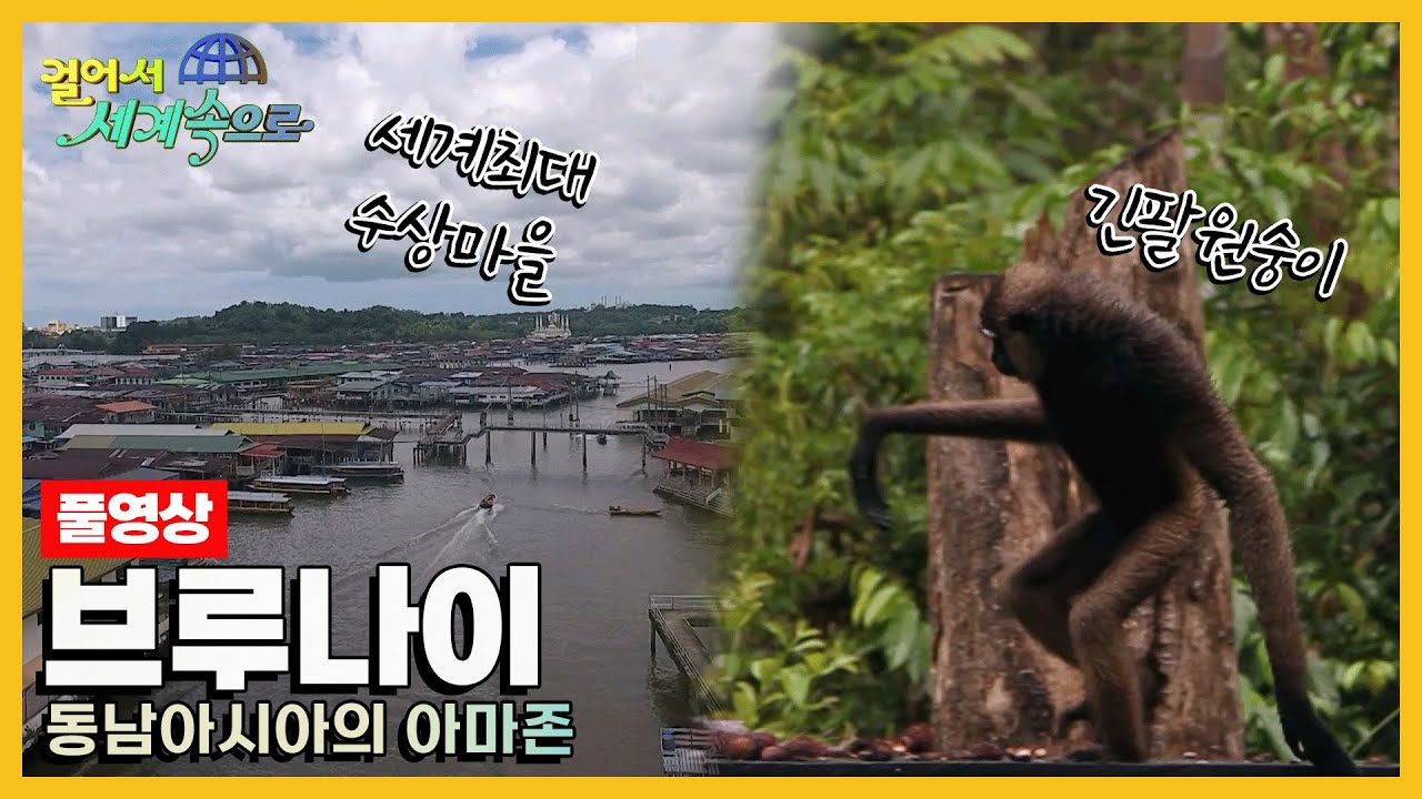 [걸어서세계속으로Full📺] 동남아시아의 아마존이라 불리는 황금의 제국 '브루나이' 여행 Trip to Brunei (KBS 20180512)
