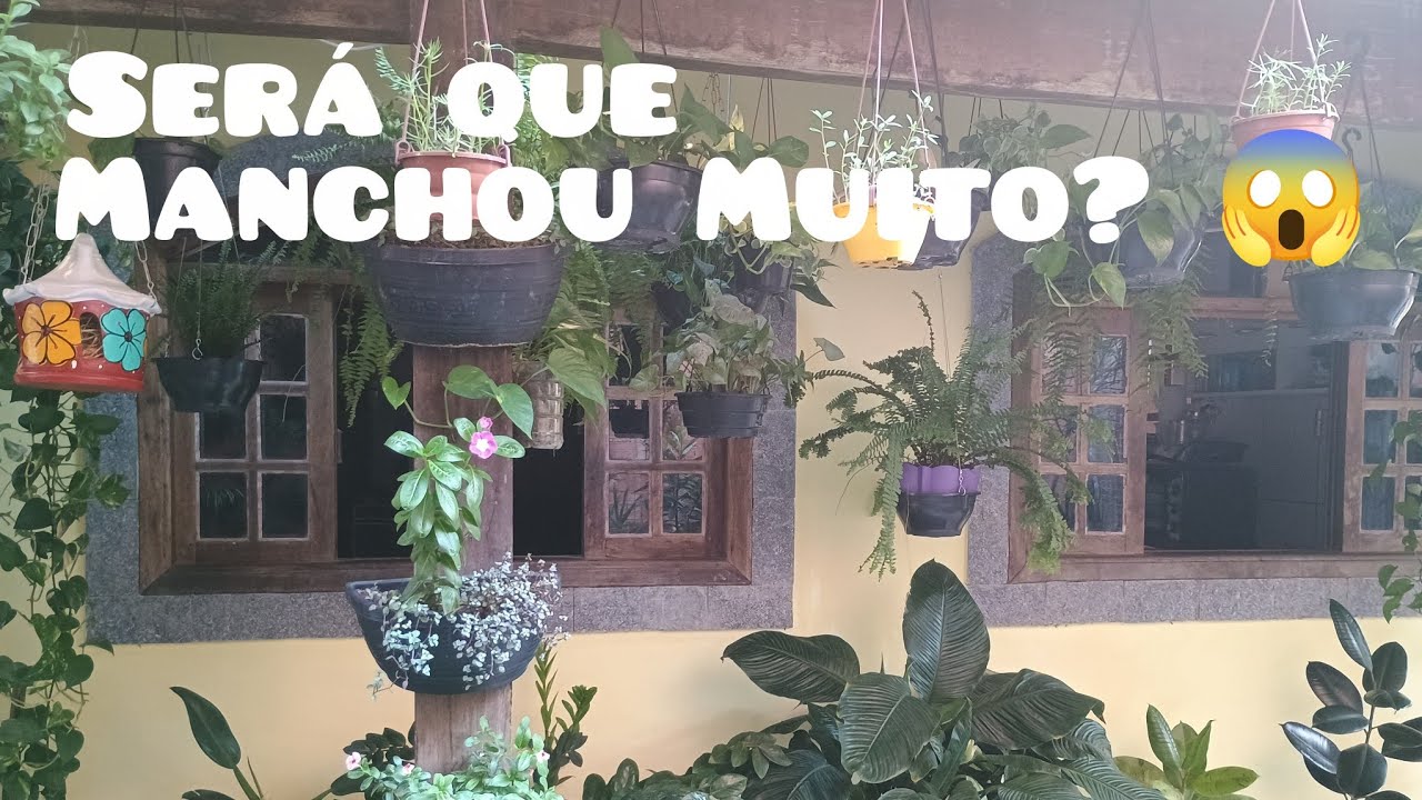Acabei com a parede da varanda, cuidei das dieffenbachias