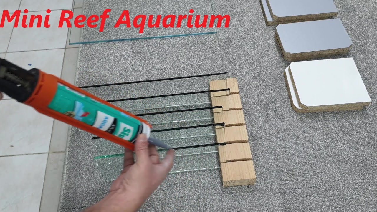 Mini Reef Aquarium - Saltwater Aquarium with Back Sump