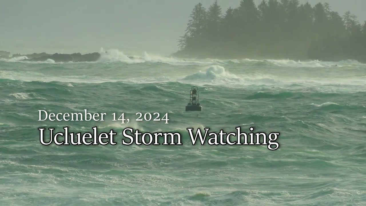 Storm Watching in Ucluelet on Vancouver Island - Big Waves, Kings Tides and a Smashed Boat 4K