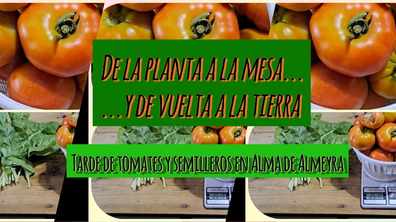 De la planta a la mesa...y de vuelta a la tierra #estilodevida #vidarural #huertafamiliar