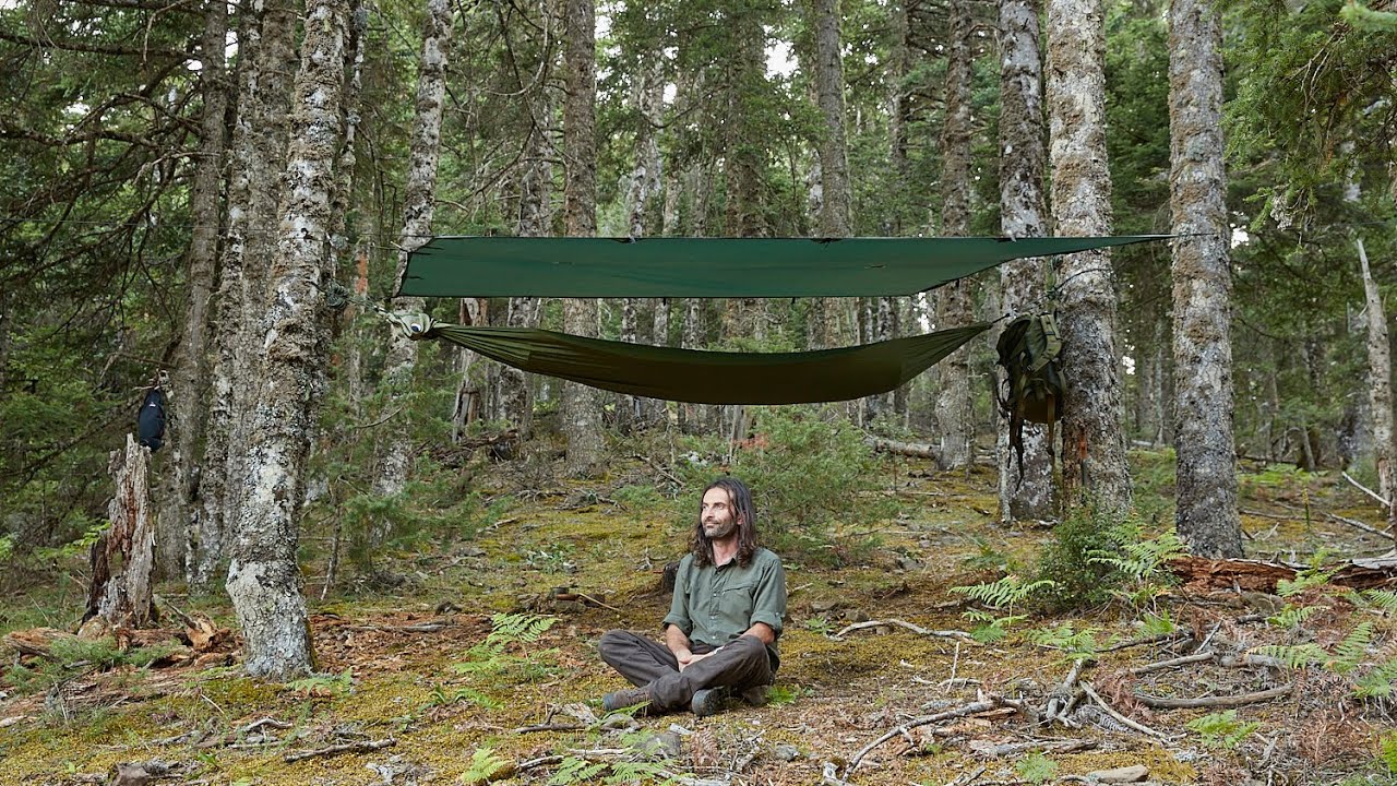 Solo Hammock overnight camping in the woods, Tarp, bushcraft, cooking, etc