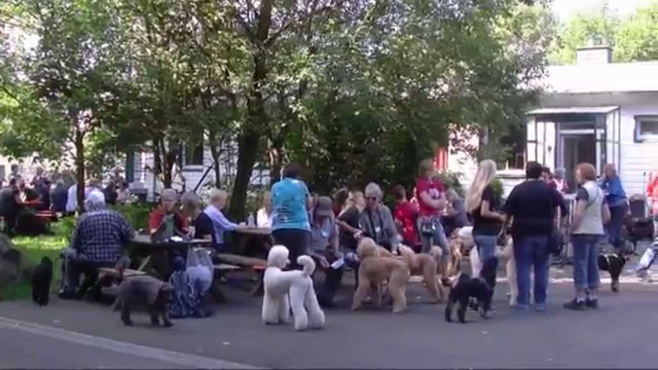 Das Pudeltreffen 2014 - 2D Version