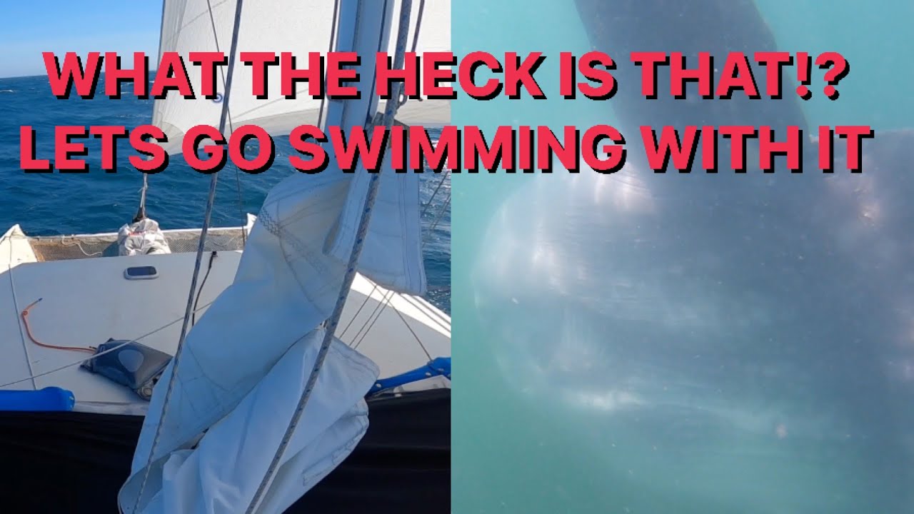 We sail our Catamaran from Washington to California! EP 3