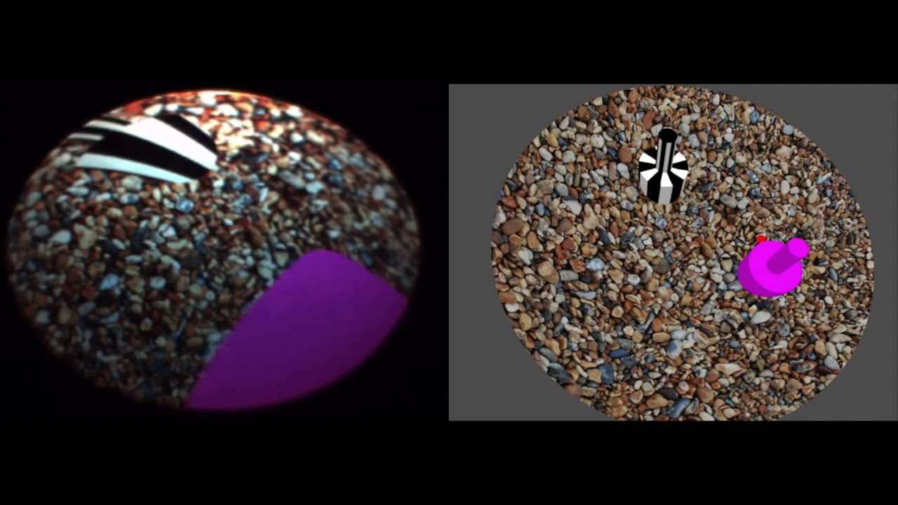 FishVR - demonstration of two-alternative forced choice paradigm