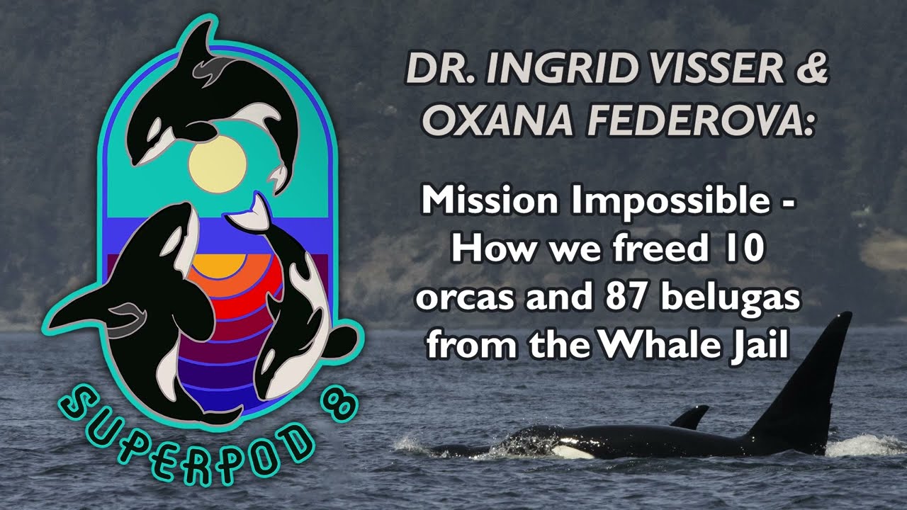 Superpod 8 - Dr. Ingrid Visser & Oxana Federova - Freeing Whales from the Whale Jail